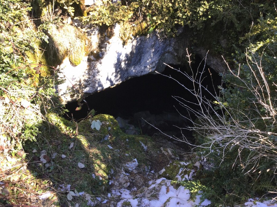 Cueva Cueva