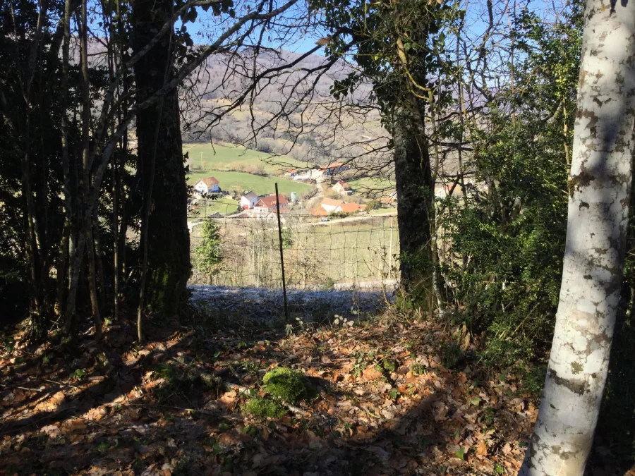 Abaurrepea desde la cañada