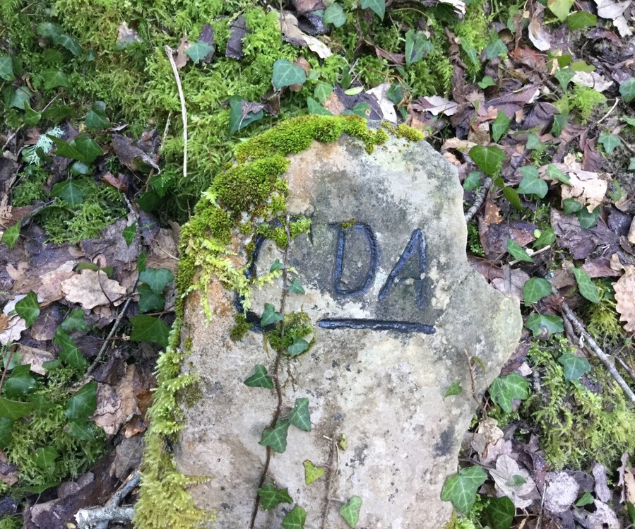Cañada de las Abaurreas Cañada de las Abaurreas